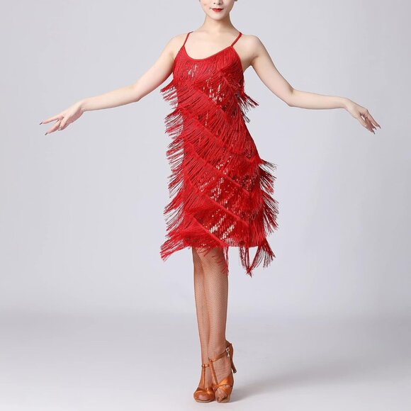 Women Salsa Latin Dance Dress Sequin Tassel Fringe Flapper Dress 1920s Gatsby Co - Picture 5 of 6